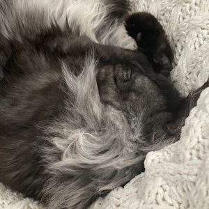 Meet your Posher, Karolina